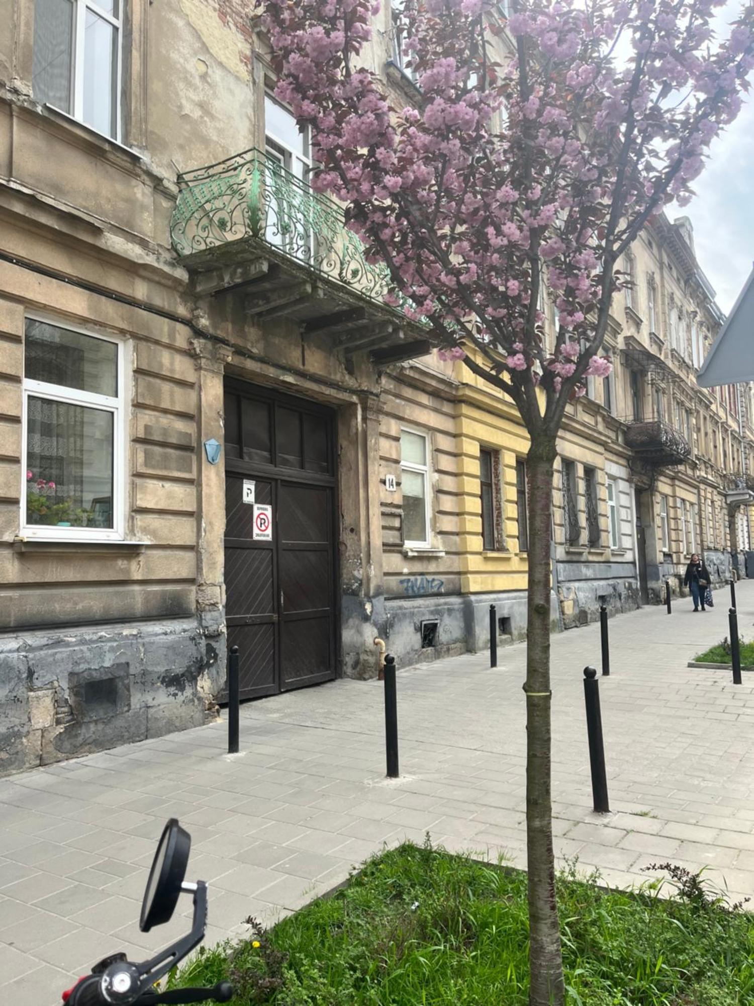 Medova Apartments Lwów Zewnętrze zdjęcie